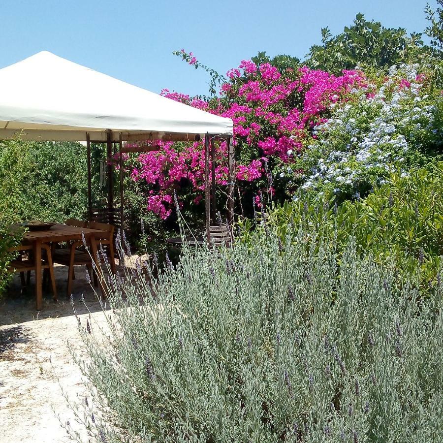Aegina'S Oasis Villa Exterior foto
