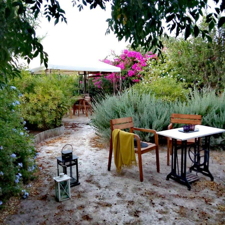 Aegina'S Oasis Villa Exterior foto