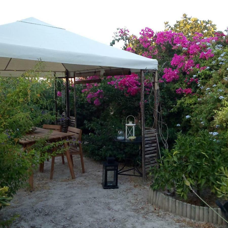 Aegina'S Oasis Villa Exterior foto